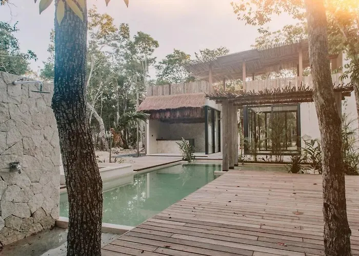 Xuncari In The Heart Of The Jungle