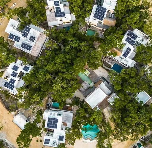 Xuncari In The Heart Of The Jungle * Tulum
