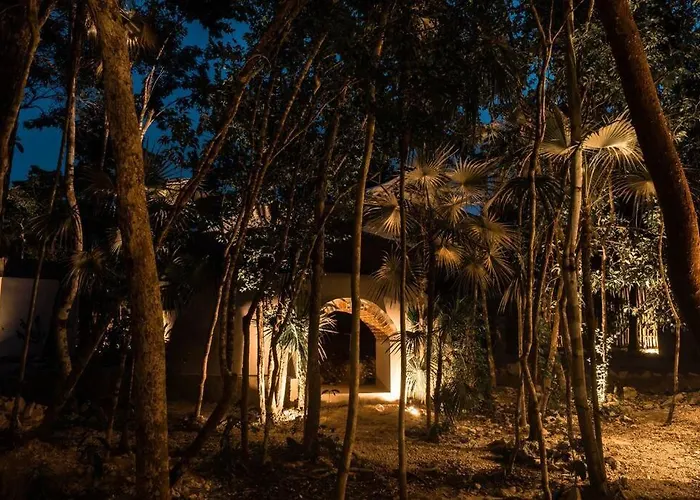 Xuncari In The Heart Of The Jungle * Tulum